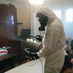 Дезинфекция от клопов в Губахе