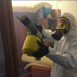 Уничтожение клопов в квартире. Губаха
